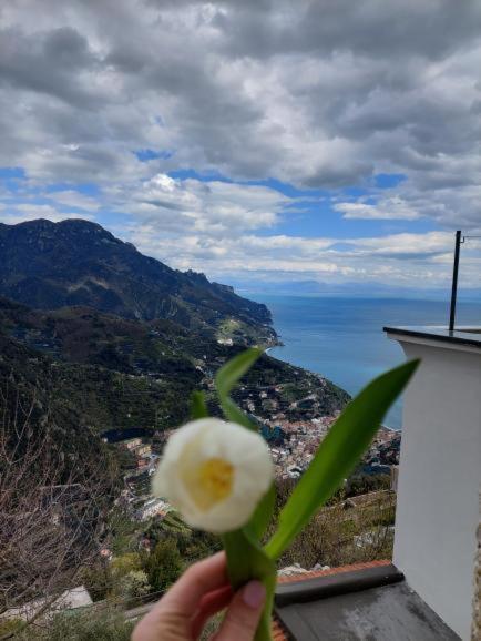 Il Sogno Di Wagner Apartment Ravello Exterior photo